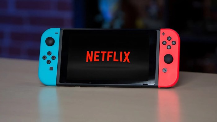 Netflix still exploring nintendo switch