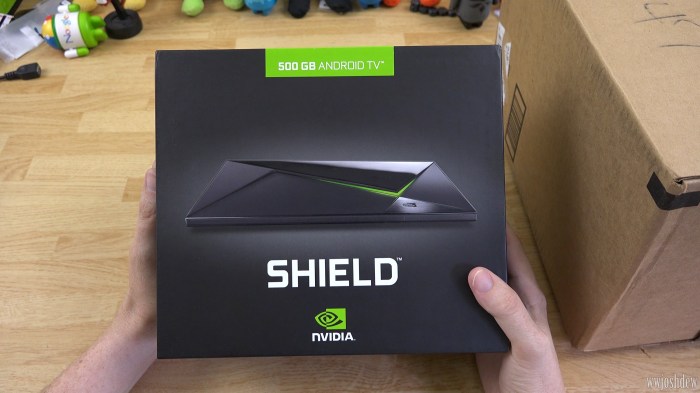 Nvidia shield pro android tv with 500gb storage spotted on amazon