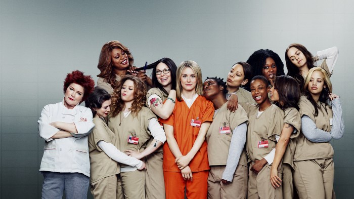 Netflix orange is the new black piracy