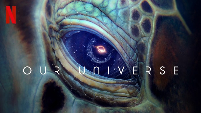 Netflix delivers stunning visuals in new our planet series