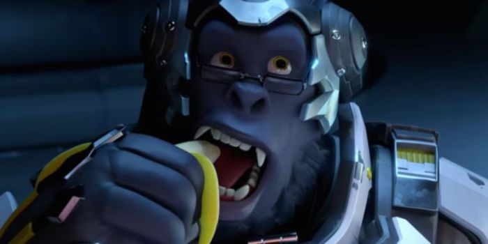 Blizzard tweak overwatch curb trolling