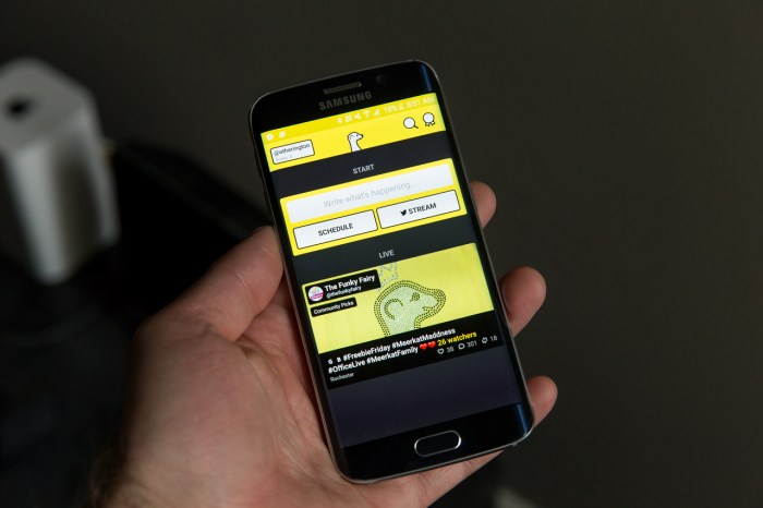 Meerkat for android sheds its beta label