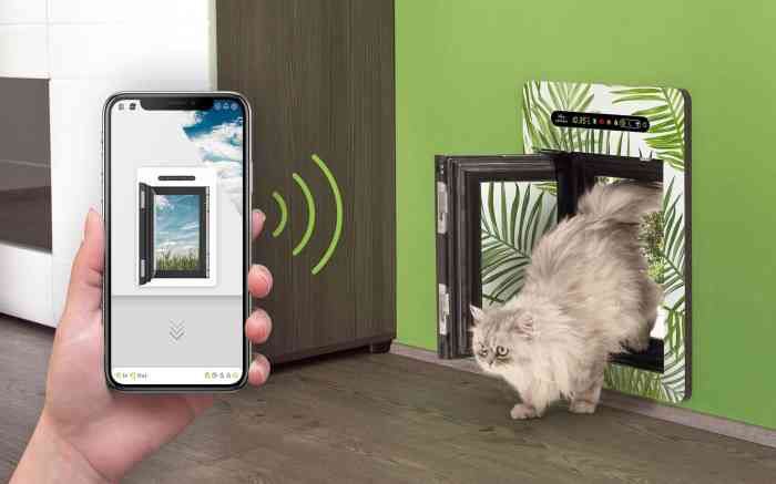 Petwalk automatic pet door prevents wet paw marks around the home