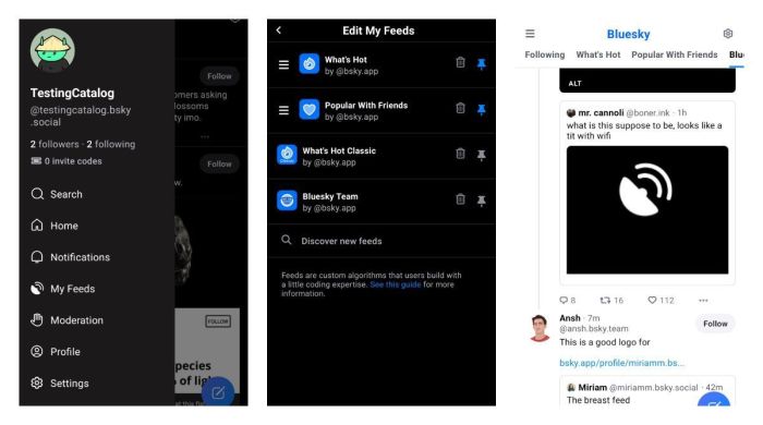 Bluesky now lets you personalize its main discover feed using new controls