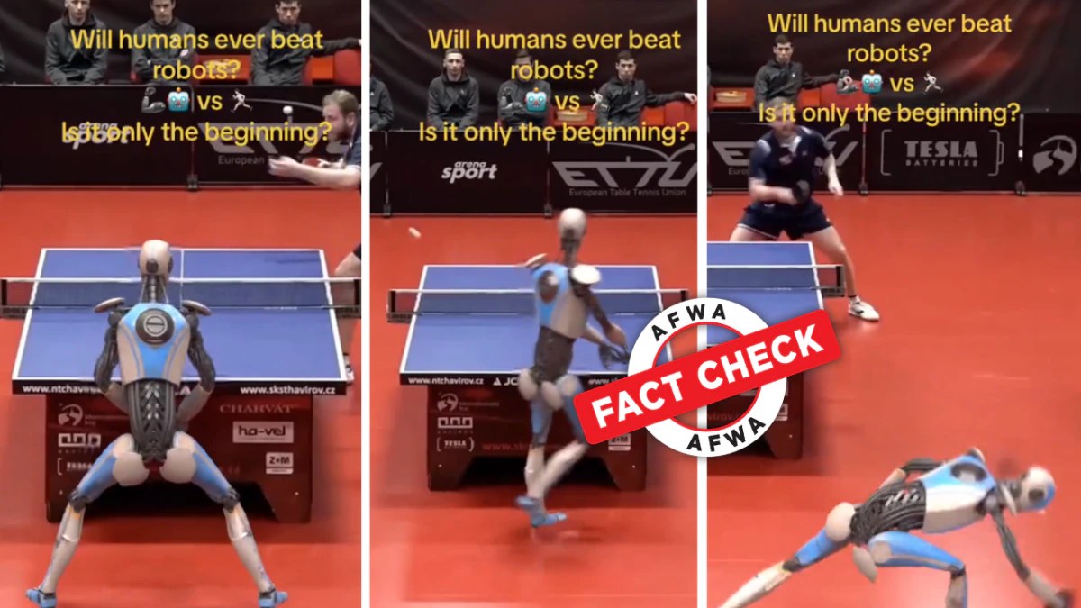 Table tennis champion to face off against robot in march