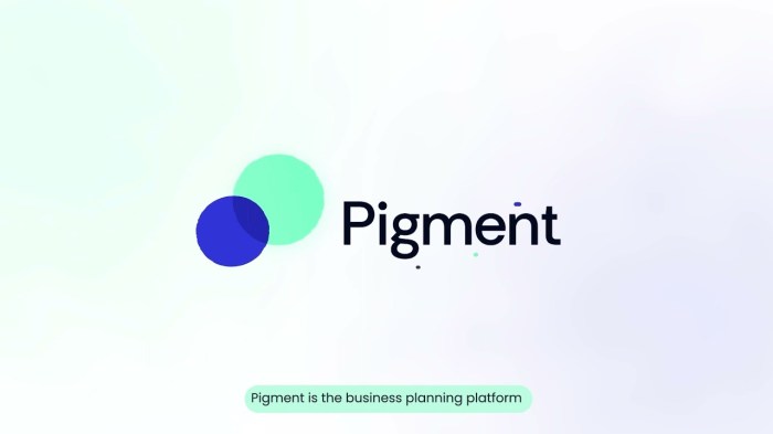 Business planning startup pigment raises 145 million round in rare french tech megaround