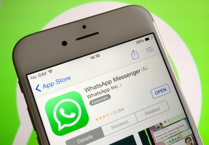 Whatsapp voice calling for ios coming in the next few weeks