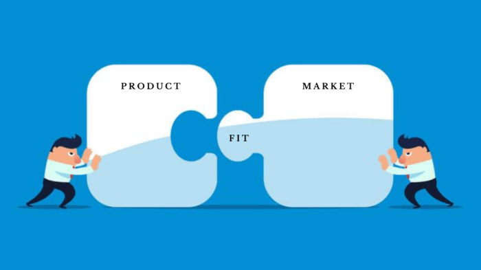 Product market fit emmalyn shaw