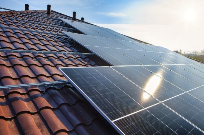 In france rooftops must either be covered by solar panels or plants