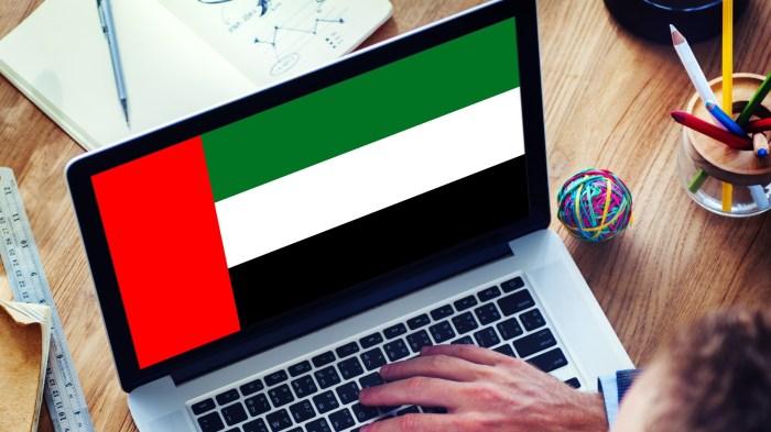 Using vpn uae land you in jail