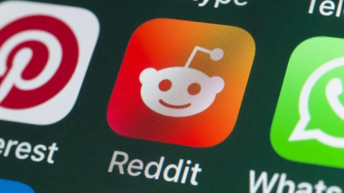 Reddit to raise 748m in ipo but may become a meme stock as redditors can sell shares immediately