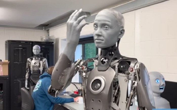 Understanding humanoid robots