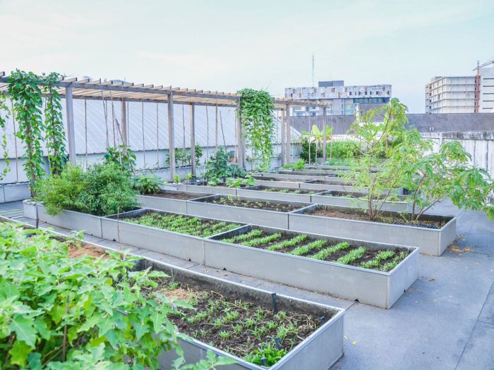 Facebooks new pad has a lovely rooftop garden