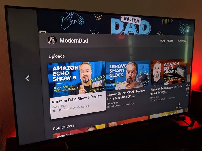 Youtube deactivated on fire tv