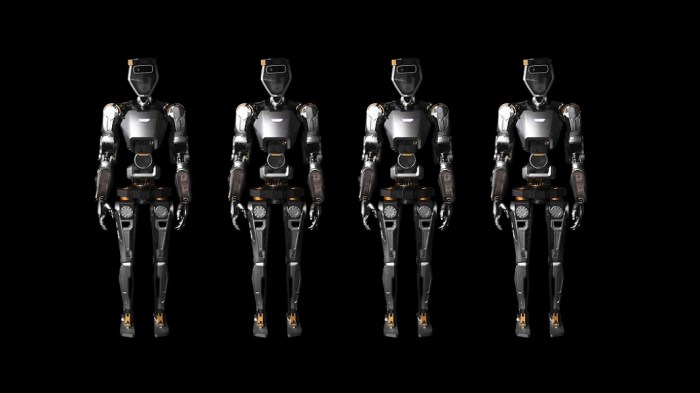 Understanding humanoid robots