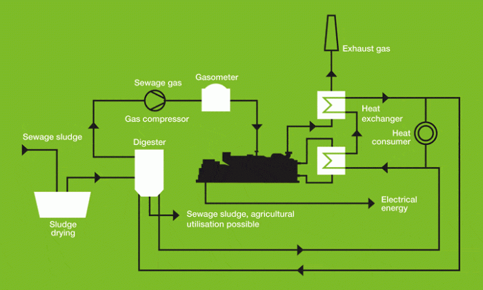 Teen figured out way to transform sewage into electricity