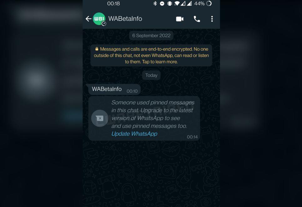 Whatsapp now lets you pin messages in individual and group chats