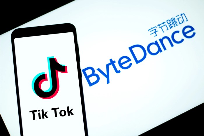 Byedance rfi tiktok lite