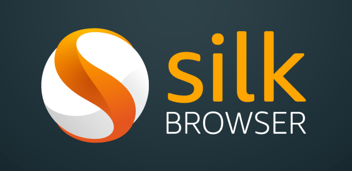 Amazon releases silk browser for fire tv