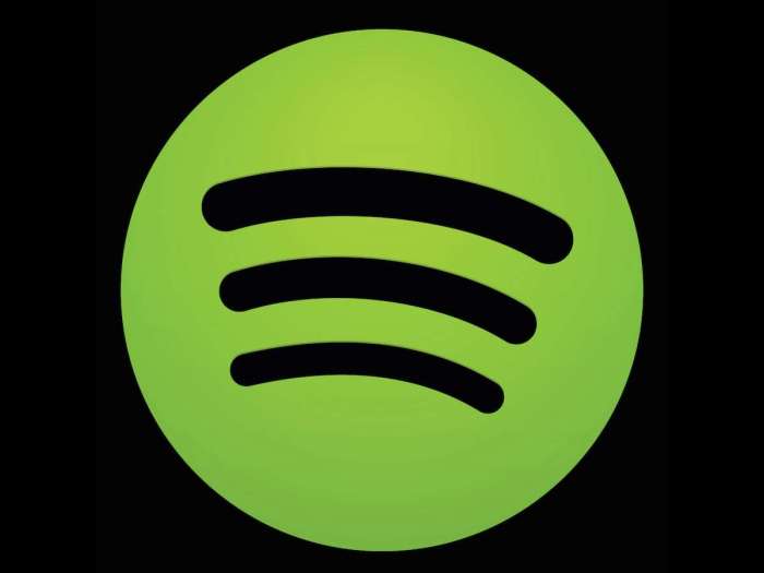 Spotify apparently has ambitions of a video service