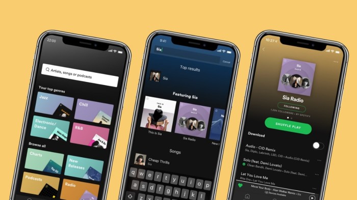 Spotify premium is now 50 cheaper for us college students