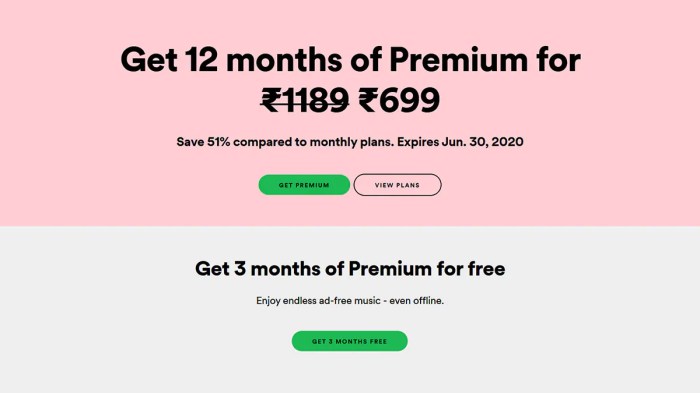 Spotify 99 annual subscription