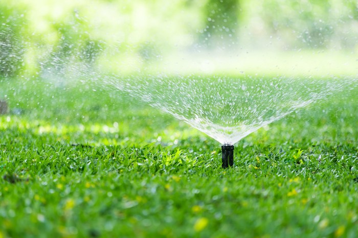 Droplet robot sprinkler delivers efficiency in watering plants