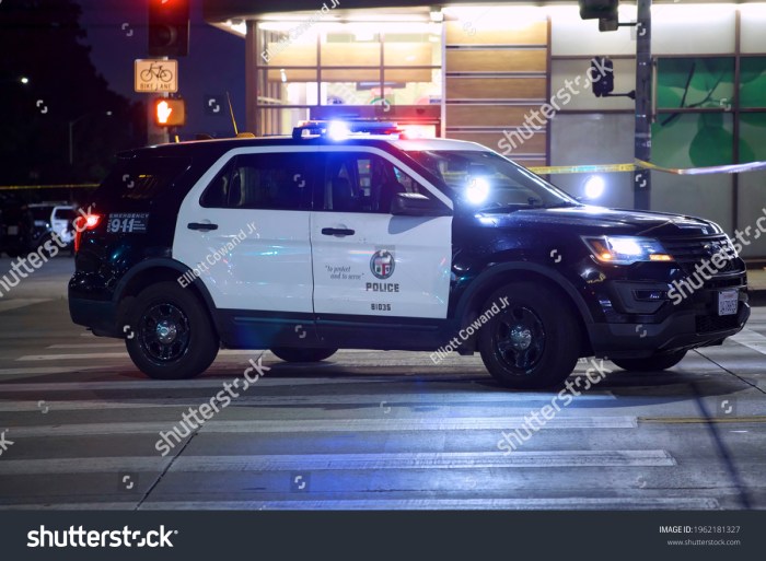 Lapd looking to use tesla cars for high pursuit