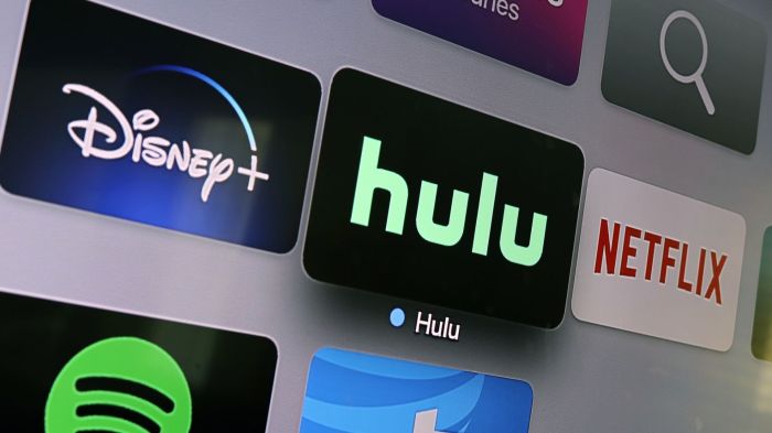 Time warner invests 580 million in hulu will offer its cable channels for live streaming