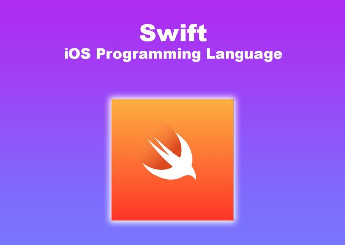 Swifty will teach you how to make iphone apps on your iphone