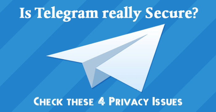 Experts say telegrams 30 engineers team is a security red flag