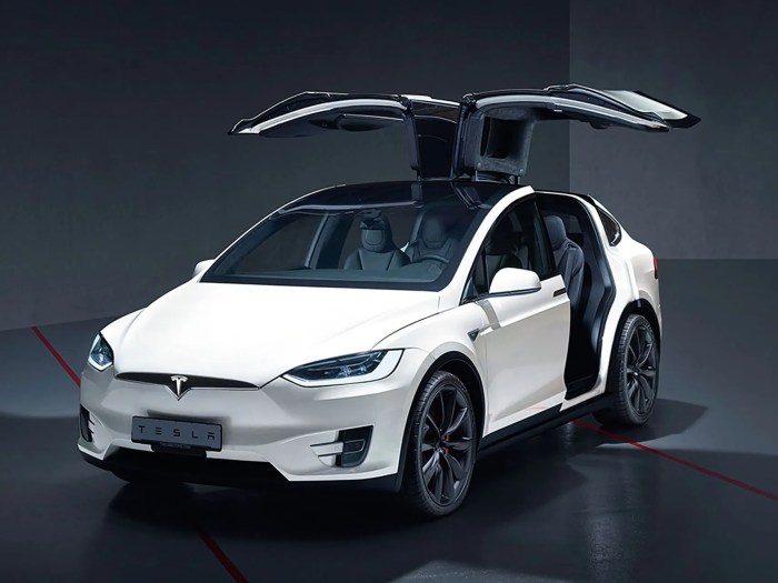 Tesla model x spotted in the wild