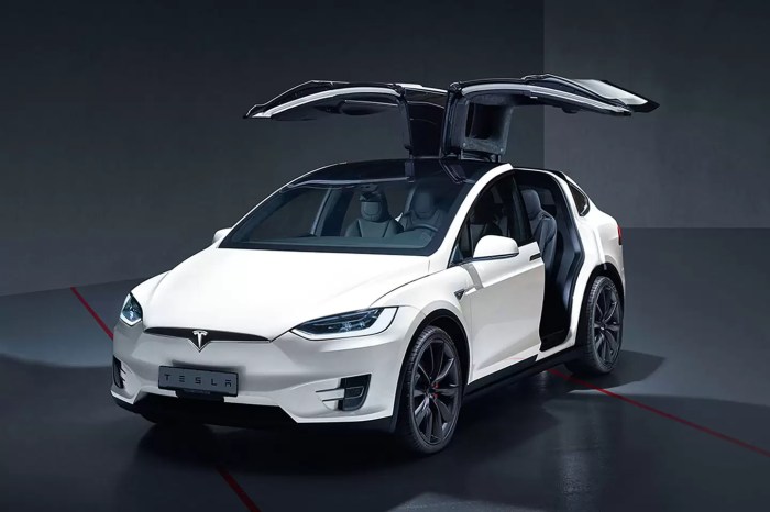 Tesla model x saved owners life