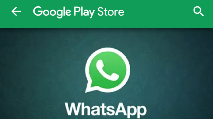 Fake whatsapp downloaded 1 million times google play store