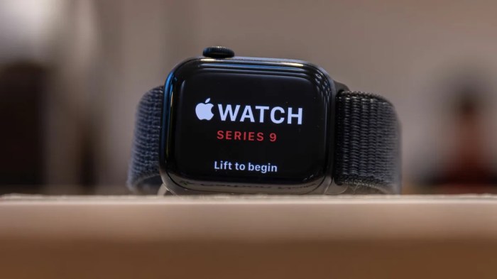 Apple watch ban import paused