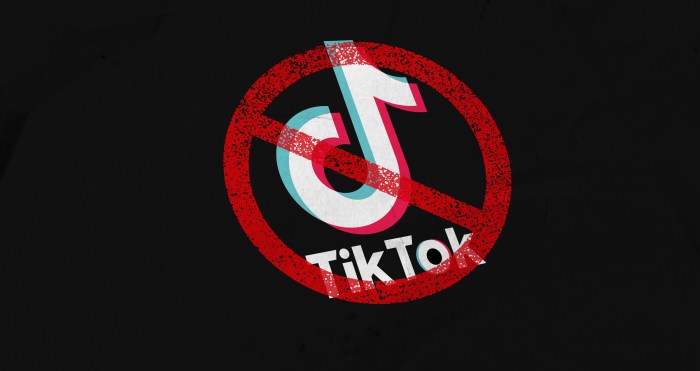 Some irs employees still access tiktok despite ban on government devices