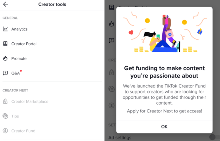 Tiktoks revamped creator fund expands beyond the us to brazil Germany korea and more