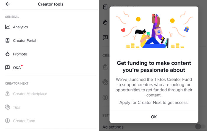 Tiktok says its revamped creator fund has increased total creator revenue by over 250