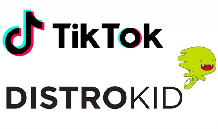 Distrokid tiktok agreement capcut