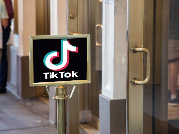 Tiktok partners with tickets com to sell tickets for its first live music event