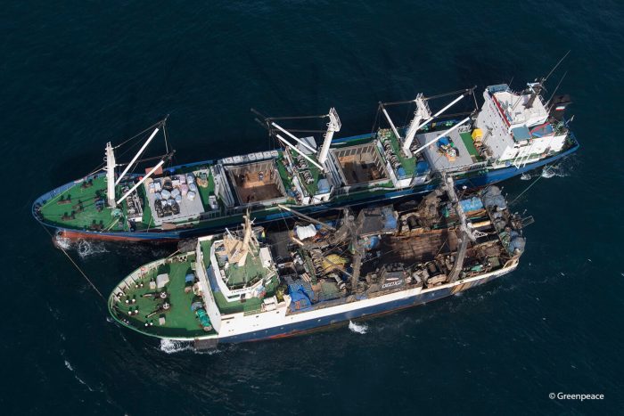 Satellite imagery analysis shows immense scale of dark fishing industry