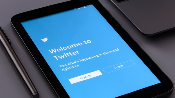 Publisher focused twitter alternative post comes to android adds newsletter support