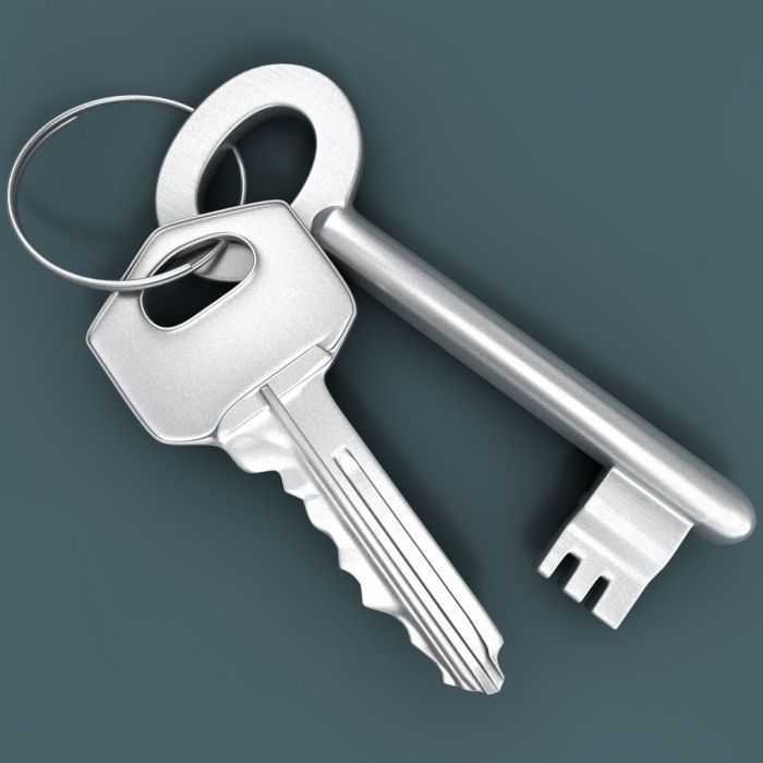 3d models of all tsa master keys now available online