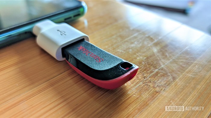 Otg is a flash drive and a battery pack for smartphones