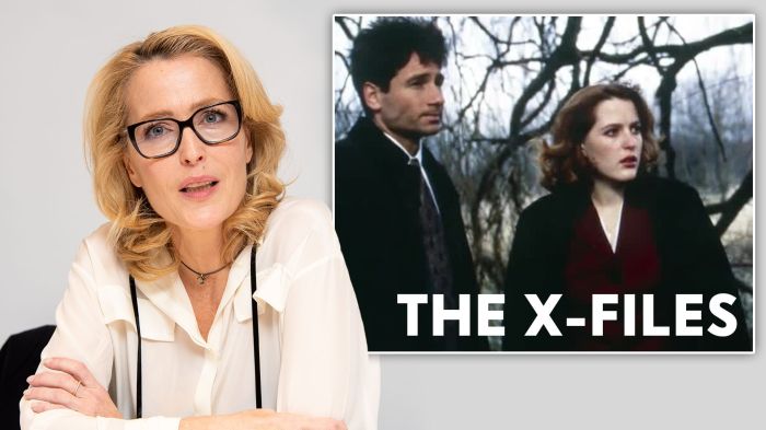 Gillian anderson done with x files series