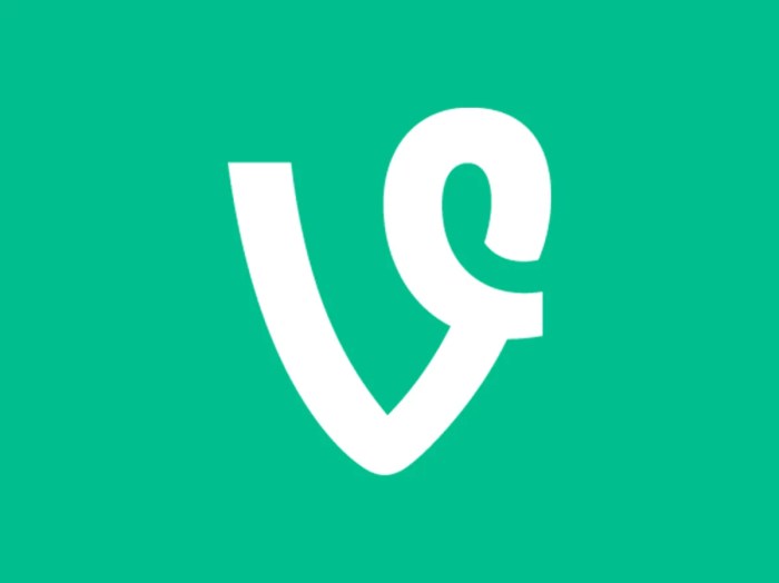 Vine co founder follow up app