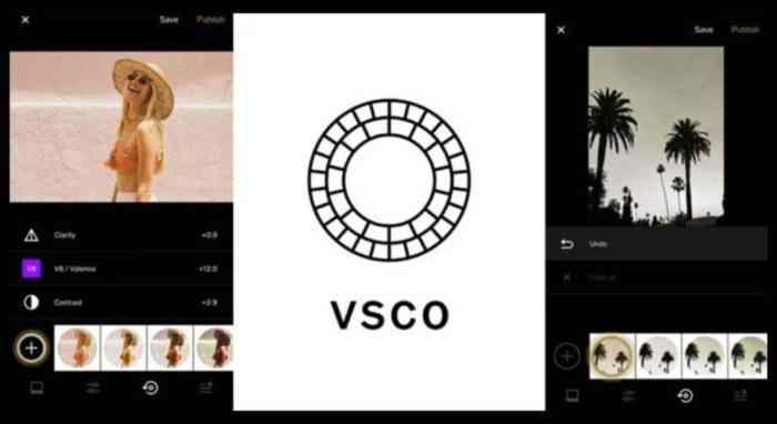 Vsco launches a new hub to connect creators and brands