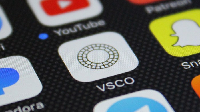 Vsco launches free photo studio