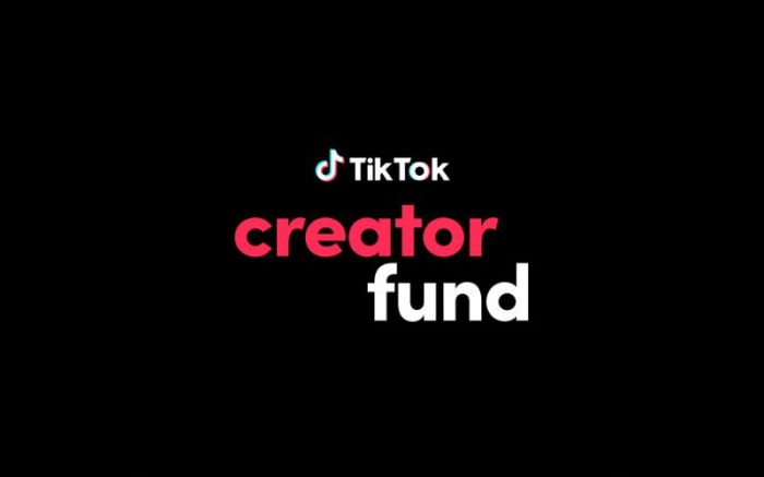 Tiktoks revamped creator fund expands beyond the us to brazil Germany korea and more