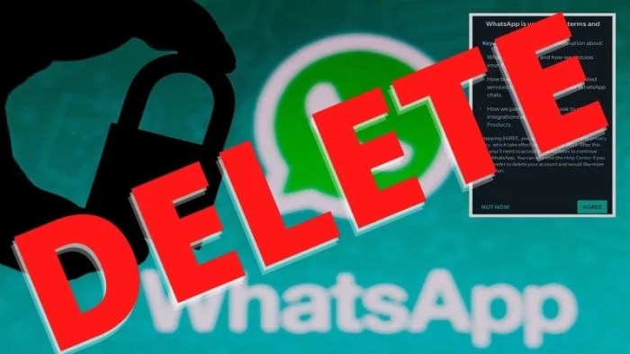 Whatsapp wont delete user data india